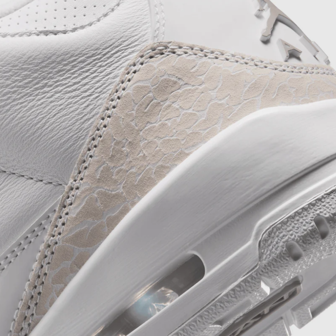 Air Jordan 3 "Pure Money"
